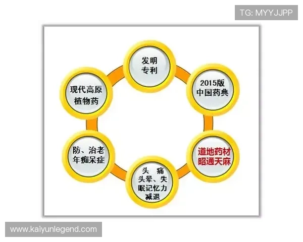 精准解析绿茵赛场背后的数据密码与胜负关键因素 精准解析绿茵赛场背后的数据密码与胜负关键因素